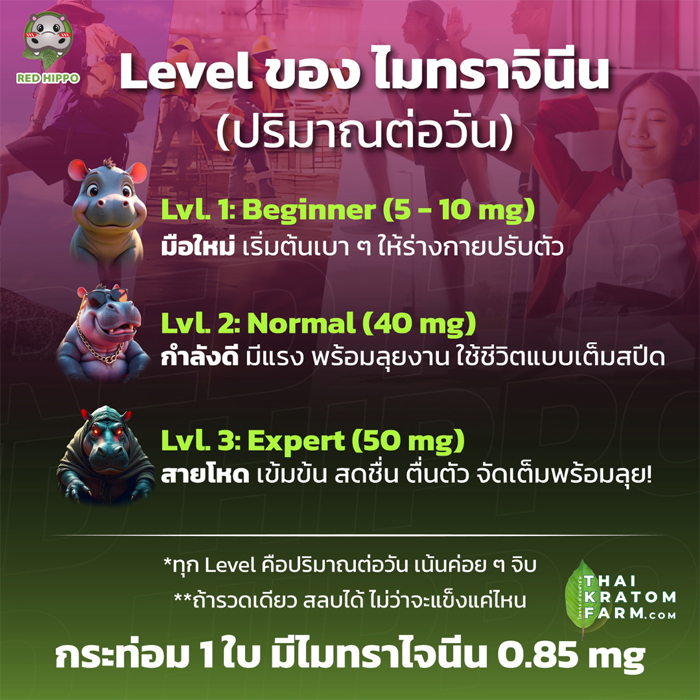 ใบกระท่อมก้านแดง ชงพร้อมดื่ม (kratom powder)